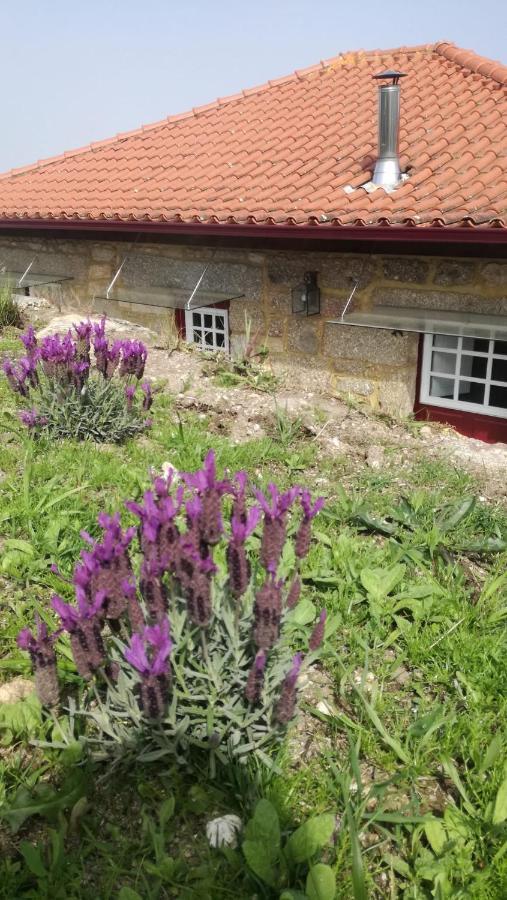 Casa Do Rancho - Turismo Rural Paranhos  Екстер'єр фото